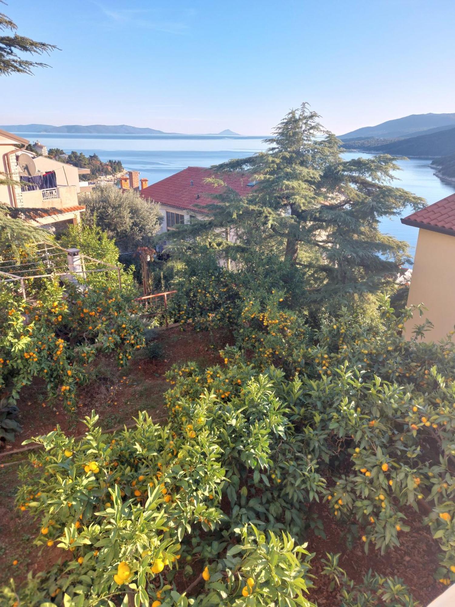 Apartment Casa Panorama Sunset Rabac